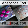 Anaconda Strong 38